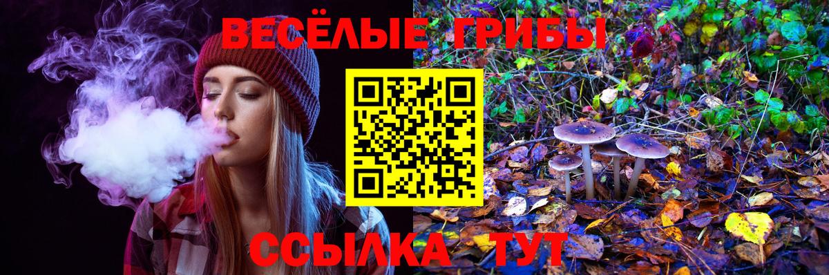 Галлюциногенные грибы Psilocybine cubensis Жуковский